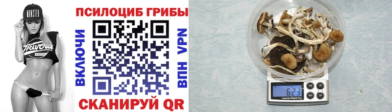 Псилоцибиновые грибы GOLDEN TEACHER  kraken вход  Щёлкино 